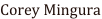 shapeimage_2_link_8