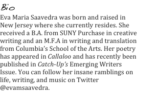 Bio
Eva Maria Saavedra was born and raised in New Jersey where she currently resides. She received a B.A. from SUNY Purchase in creative writing and an M.F.A in writing and translation from Columbia’s School of the Arts. Her poetry has appeared in Callaloo and has recently been published in Catch-Up’s Emerging Writers Issue. You can follow her insane ramblings on life, writing, and music on Twitter @evamsaavedra.
